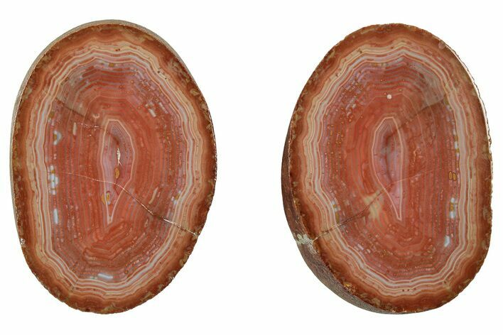 Polished Banded Bahia Agate Nodule Pair - Brazil #314696